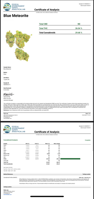 Blue Meteorite - Boutique THCa Flower