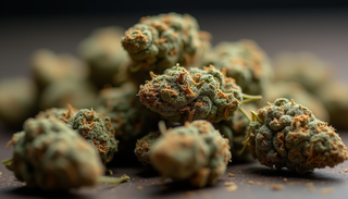 Understanding the Different Types of Cannabis Products