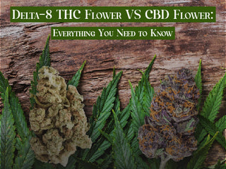 Delta-8 THC Flower VS CBD Flower: Everything You Need to Know