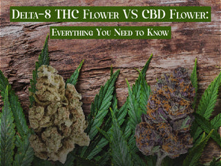 Delta-8 THC Flower VS CBD Flower