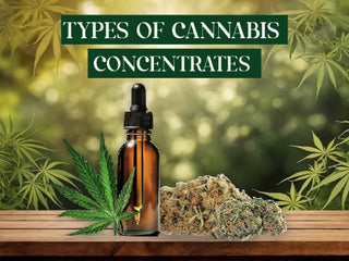 What are Popular Types of Cannabis Concentrates?
