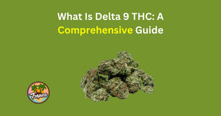 What Is Delta 9 THC? Understanding the Basics
