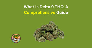 What Is Delta 9 THC? Understanding the Basics