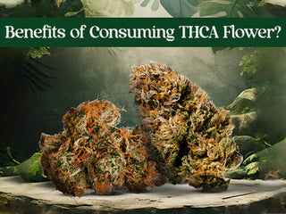 Benefits Of Consuming THCA Flower