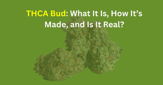THCA Bud: What It Is, How It’s Made, and Is It Real?