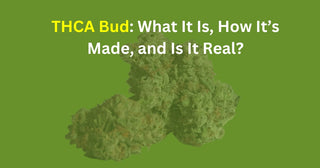 THCA Bud: What It Is, How It’s Made, and Is It Real?
