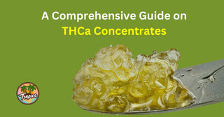 A Comprehensive Guide on THCa Concentrates