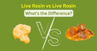 Live Resin vs Live Rosin: What’s the Difference?