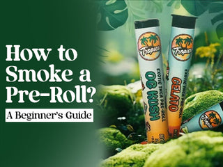 How to Smoke a Pre Roll? A Beginner's Guide