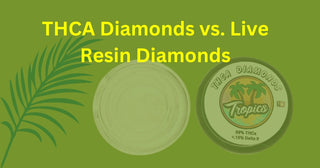 THCA Diamonds vs. Live Resin Diamonds: A Comprehensive Comparison