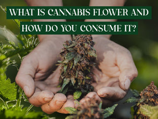 How to consume cannabis flower