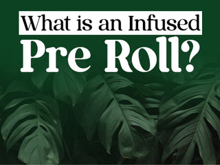 What is An Infused Pre Roll?