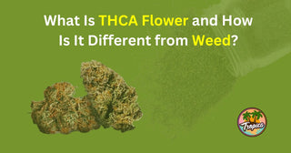 What Is THCA Flower and How Is It Different from Weed?