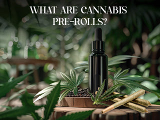 What are Cannabis Pre-Rolls?
