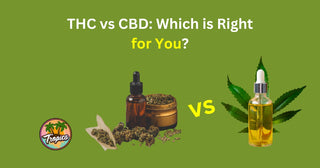 THC vs CBD: Which is Right for You?