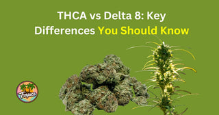 THCA vs Delta 8: Key Differences You Should Know