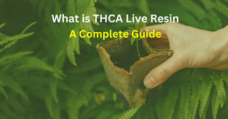 What is THCA Live Resin: A Complete Guide