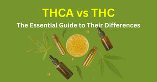 THCA vs THC: The Essential Guide to Their Differences