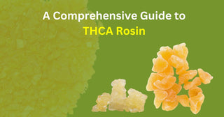 A Comprehensive Guide to THCA Rosin
