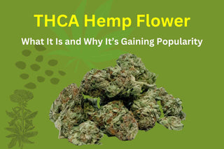 THCA Hemp Flower: What It Is and Why It’s Gaining Popularity
