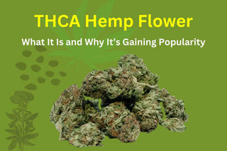 THCA Hemp Flower: What It Is and Why It’s Gaining Popularity
