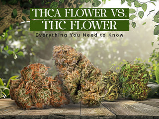 THCa Flower VS. THC Flower: Everything You Need to Know