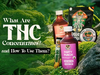How To Use THC Concentrate?
