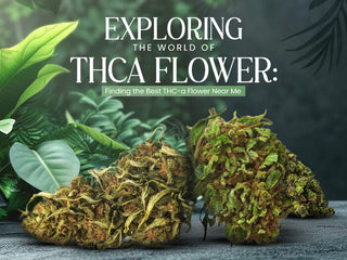 Exploring the World of THCa Flower: Finding the Best THCa Flower Near Me