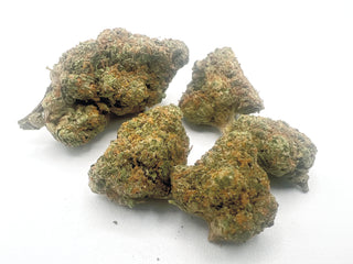 Sherbanger - Greenhouse THCa Flower