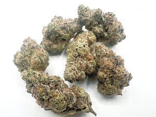 Sherbalatto N4 - Exotic THCa Flower
